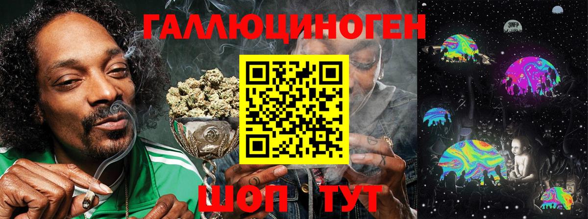 Галлюциногенные грибы GOLDEN TEACHER  Вход с VPN  Черкесск 