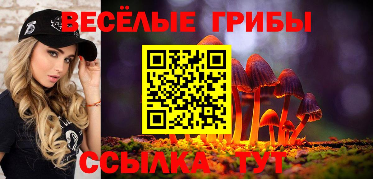 Галлюциногенные грибы мухоморы Черкесск