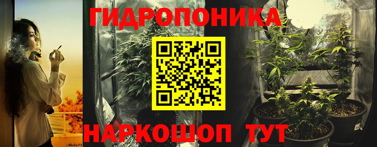 Конопля марихуана Черкесск